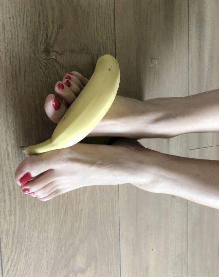 免费观看萝卜大全电视剧动漫版