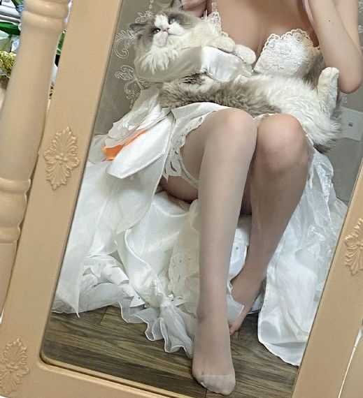 姐姐的朋友
