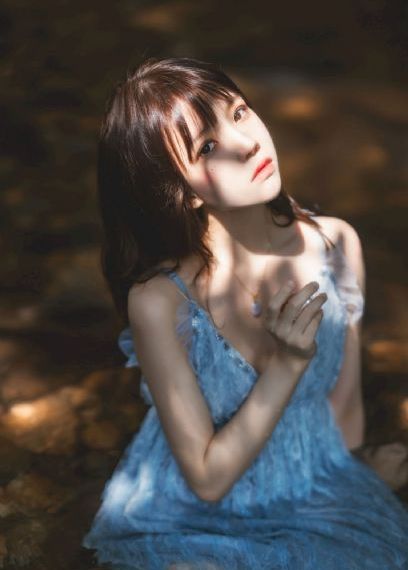 今天也是很可爱的狗