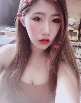 电视剧司马懿之军师大联盟